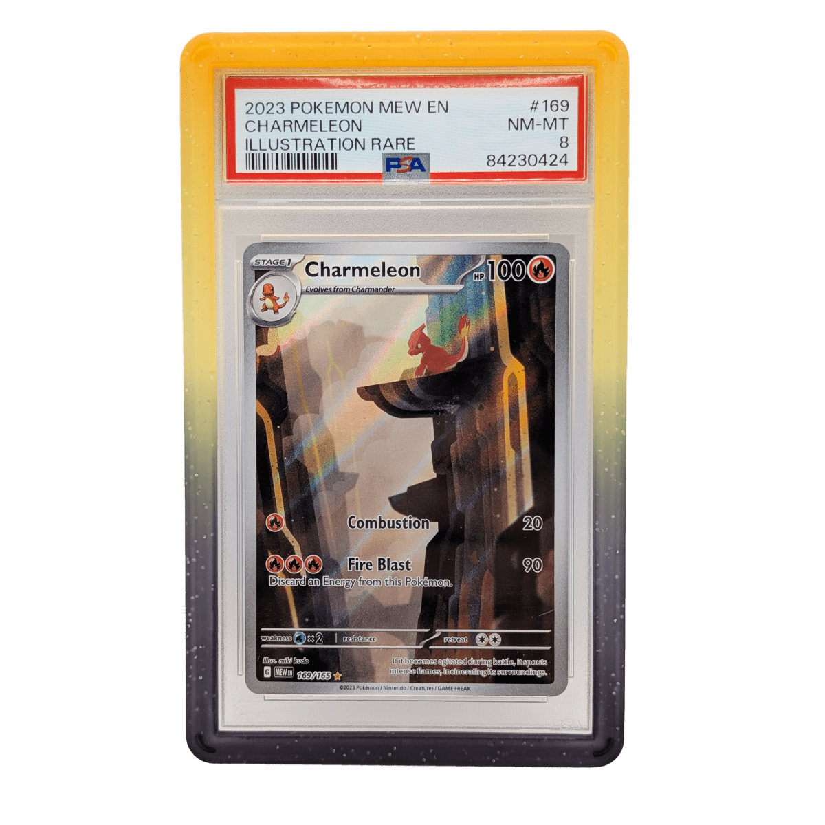 PSA Gradient Slab Bumpers, Stackable, Easy to Remove Notch - Hobby Defense - Slab Bumper